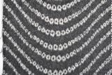 Wool Ssn11-4143