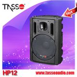 6.5, 8, 10, 12inch Professional Disco Audio System