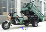 Overloading 200cc Tricycle with Instruction Cargo Box (TR-24)