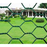 Hexagonal Wire Mesh