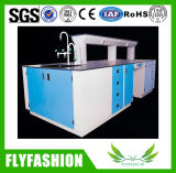 High Quality Durable Chemistry Laboratory Table Laboratory Furniture