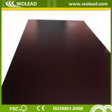 Water Proof Film Faced Plywood (w15415)