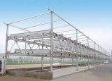 3-Storey Prefabricated Light Steel Structure for Warehouse/Workshop