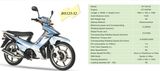Motorcycle (cub)
