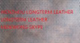 Lastest Fashionable Finish PU Synthetic Leather