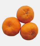 Mandarin Orange