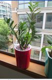 Creativer Self-Watering Plastic Flower Pot