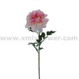 Artificial Flower of Silk Peony (SFL6002-C2001)