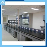 All New and Customzied Steel Wood Laboratory Furniture Working Bench