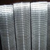 Welded Wire Mesh