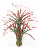 Artificial Flower Bonsai Artificial Plant Artificial Orchid Flower Eco-Friendly Cheap 546
