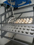 Chicken Egg Hatcher Incubator