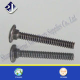 DIN603 Carriage Bolt with Fully Thread