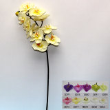 Artificial Flower, Imitative Single Orchid (TC130005-SD100)