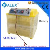 12V Incubator for Bird Egg on Discount