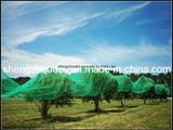 Shade Net