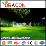 Home Putting Green Artificial Grass for Patio (L-1002)