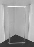 Fre Neo-Angle Pivot Shower Enclosure/ Shower Door/ Shower Room