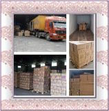 Warehousing /Cargo Distribution Service/ Shiping Service From China to New York, USA--Susan