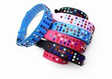 Colorful Pet Dog Collar for Pet Products (JCC-1662)