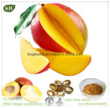 Weight Controlling Product Mango Seed Extract/ Losing Weight Agent