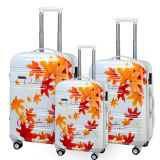 100% PC Luggage Set for Travel (PCL001-C20