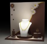 Pop Jewelry Display