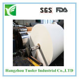 Paper Cup Material /Cup Stock Paper /Single PE Coated Paper in Roll