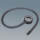 Ring Optical Fiber