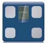 Body Fat Scale