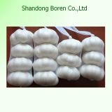 2015 Chinese Fresh Size 5.5cm Normal White Garlic