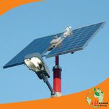 Solar Induction Street Lighting Solutions, Energy Saving Light