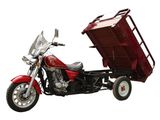150CC Multi-Function Tricycle (DF150ZH--E)