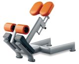 Professional Fitness Equipment / Hyperextension (SL43)