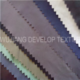 380t Nylon Taffeta Fabric for Down Jacket Fabric (DN2020)