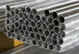 Alloy Steel Pipe/Alloy Pipe (ASTM A335 P91)