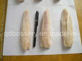 Frozen Blue-Whiting Fillet