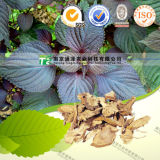 Manufacturer Supply Organic Herb Medicine Caulis Perillae