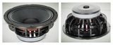 10 Inches PA Speaker (LTW250-21)