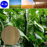 Boron Amin Acid Chelate for Organic Agriculture