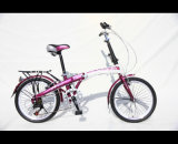 Folding Bicycle From Factory Sell Directly (HC-FD-2059)