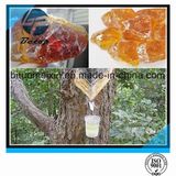 Ww/N/ Wg Grade Yellow Transparent Gum Rosin with CIQ