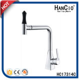 Sanitary Ware Chrome Plated Kitchen Faucet (HC17314C)