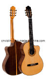Classic Guitar (HCG408CS-39N)