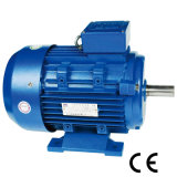 Y2 Series Electric Motor (160L-4/15kw)