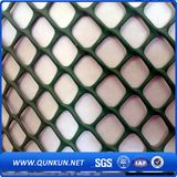 Plastic Plain Wire Meshes Net for Aquaculture