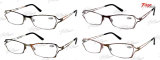 High Quality Folding Reading Glasses / Eyeglasses / Eyewear