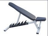 Fitness Equipment/Hammer Strength /Gym Machine Adjustable Bench (SH40)