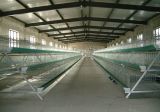 ! Professional High Quality Egg Chicken Farming/Layer Chicken Cage