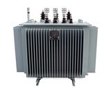 10kv Class Distribution Transformers (S9, S10, S11, S13 series, or with code Z, M)